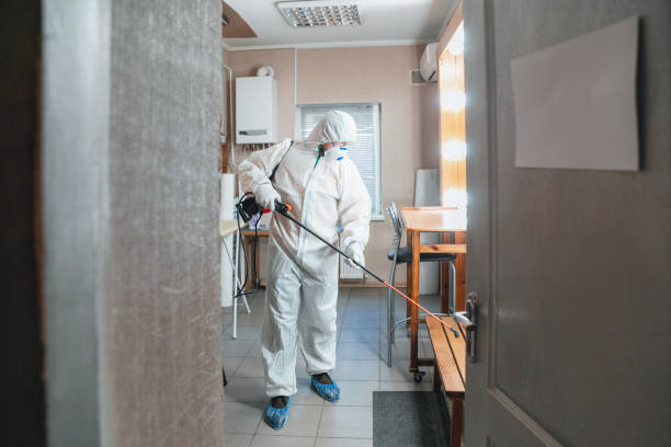 Best Residential Mold Inspection & Testing  in Hilltop, MN