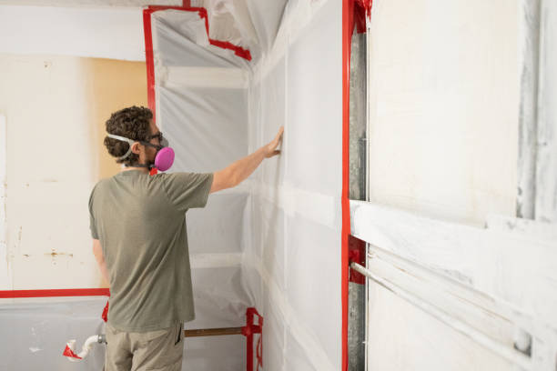 Best Commercial Mold Inspection  in Hilltop, MN