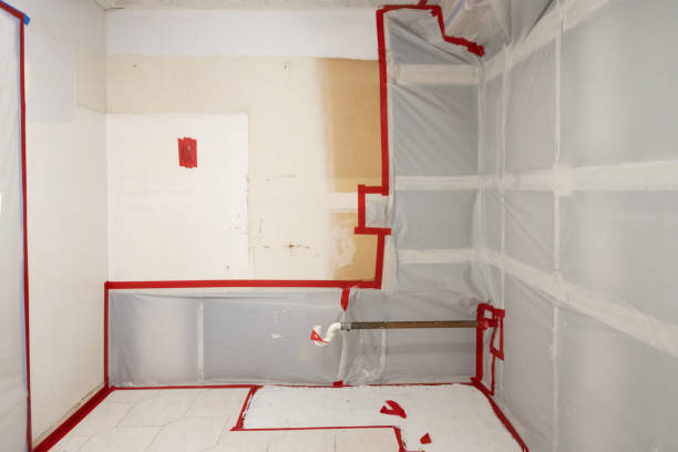 Best Post-Remediation Verification Testing  in Hilltop, MN