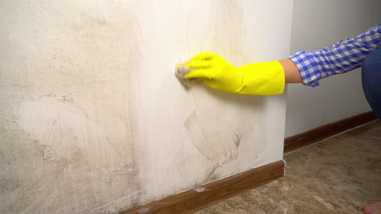 Best Real Estate Mold Inspection  in Hilltop, MN
