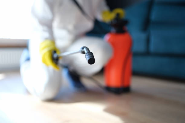 Dehumidification Services in Hilltop, MN