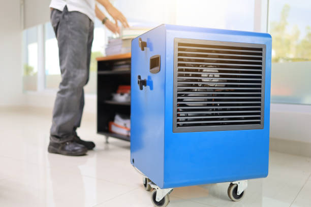 Best Mold Documentation for Insurance Claims  in Hilltop, MN