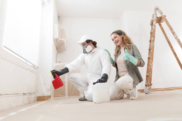 Best Mold Removal for HVAC Installations  in Hilltop, MN