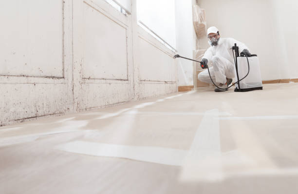 Best Mold Odor Removal Services  in Hilltop, MN